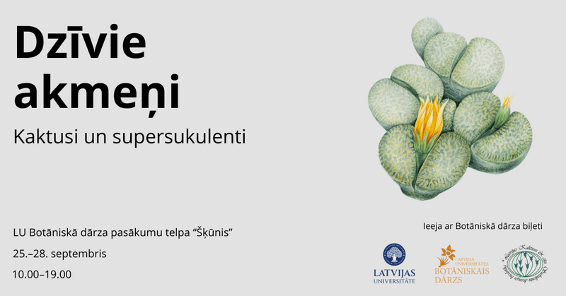 Izstāde “Kaktusi un supersukulenti – dzīvie akmeņi” 