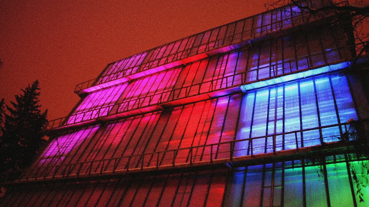 Ziemas Gaismas dārzs 2021/2022