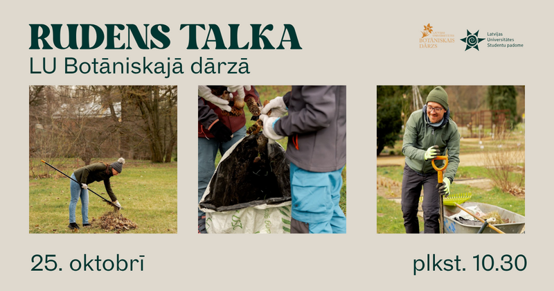 Rudens talka 2025 Latvijas Universitātes Botāniskajā dārzā