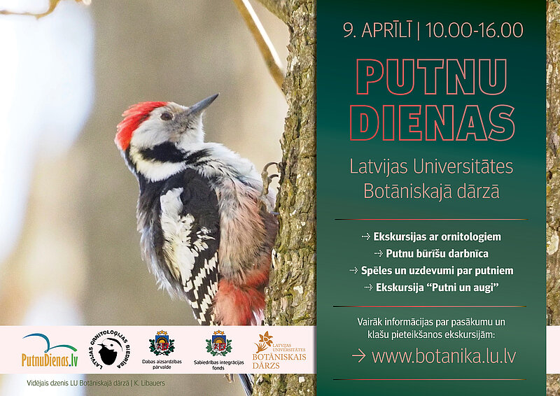 Putnu dienas 2025