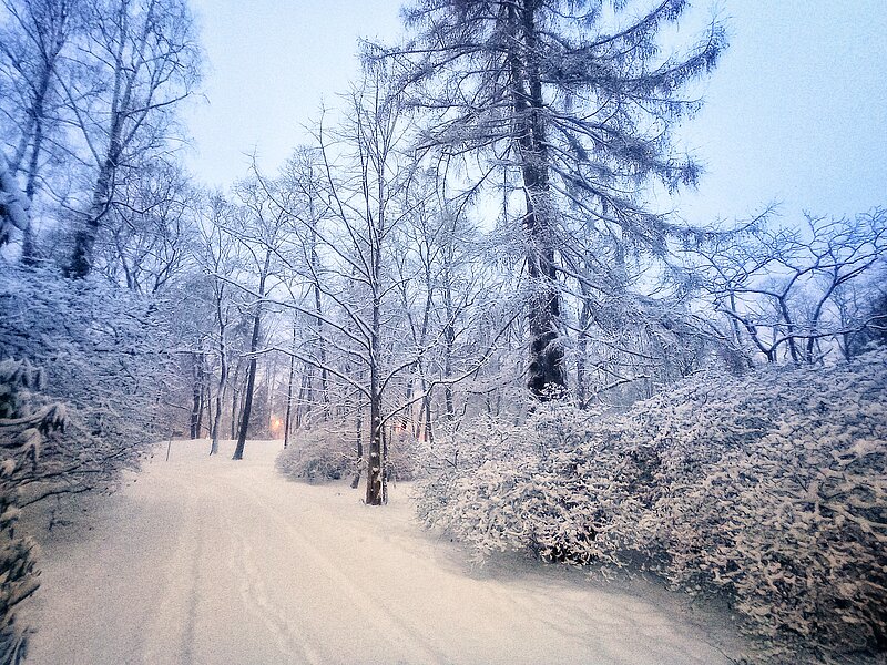 Ziemas prieki Botāniskajā dārzā ar 30% atlaidi!