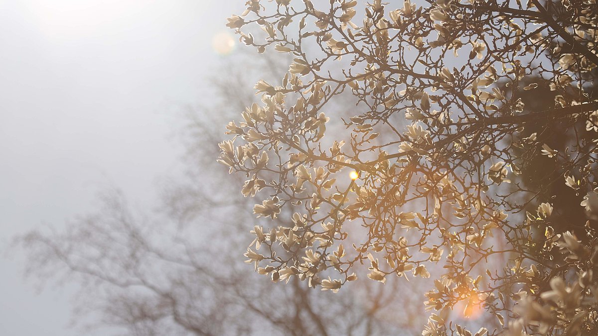 Foto: Krišjānis Libauers