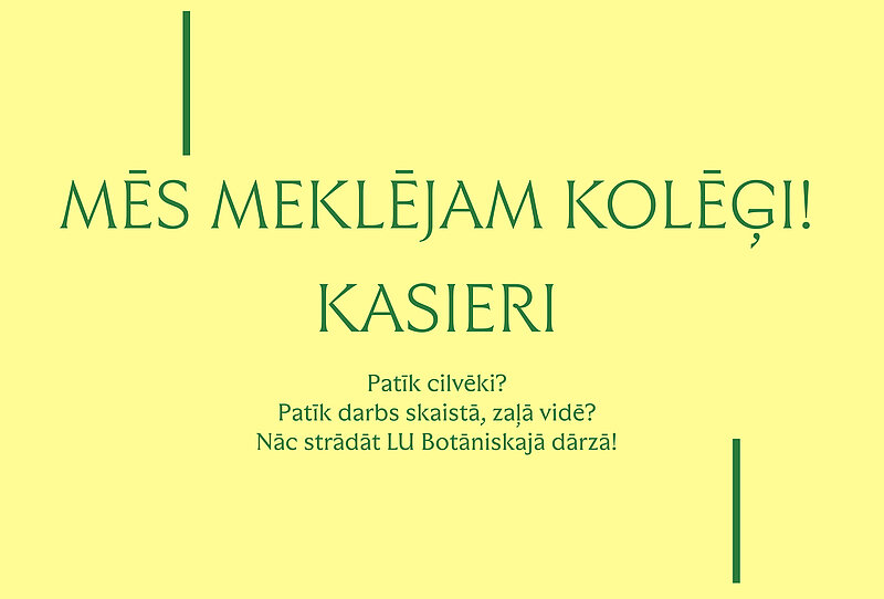 Aicinām darbā kasieri