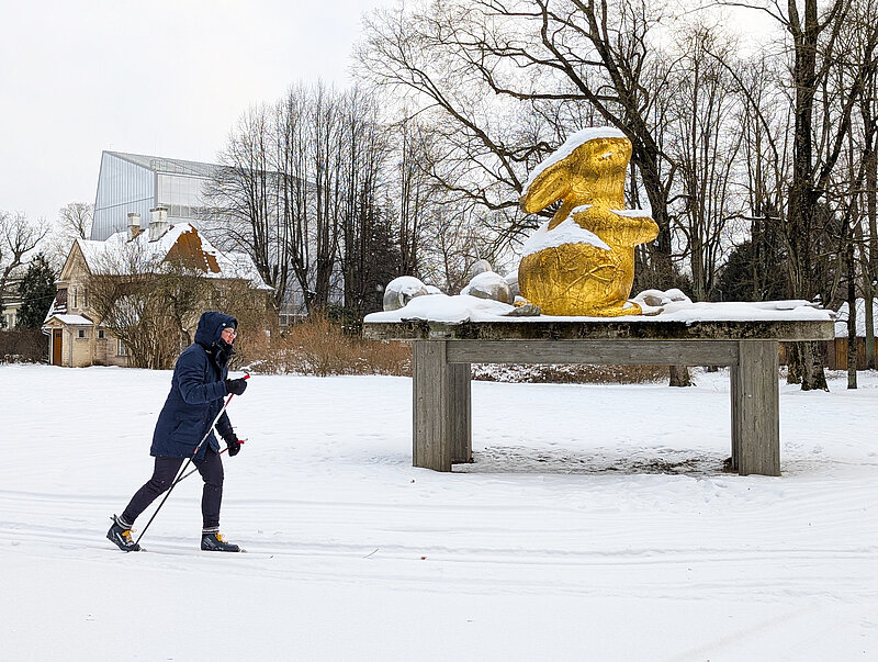 Ziemas prieki Botāniskajā dārzā ar 30% atlaidi!