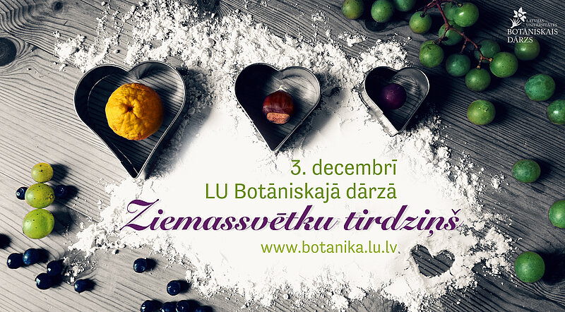 Iepazīstinām ar Ziemassvētku tirdziņa programmu