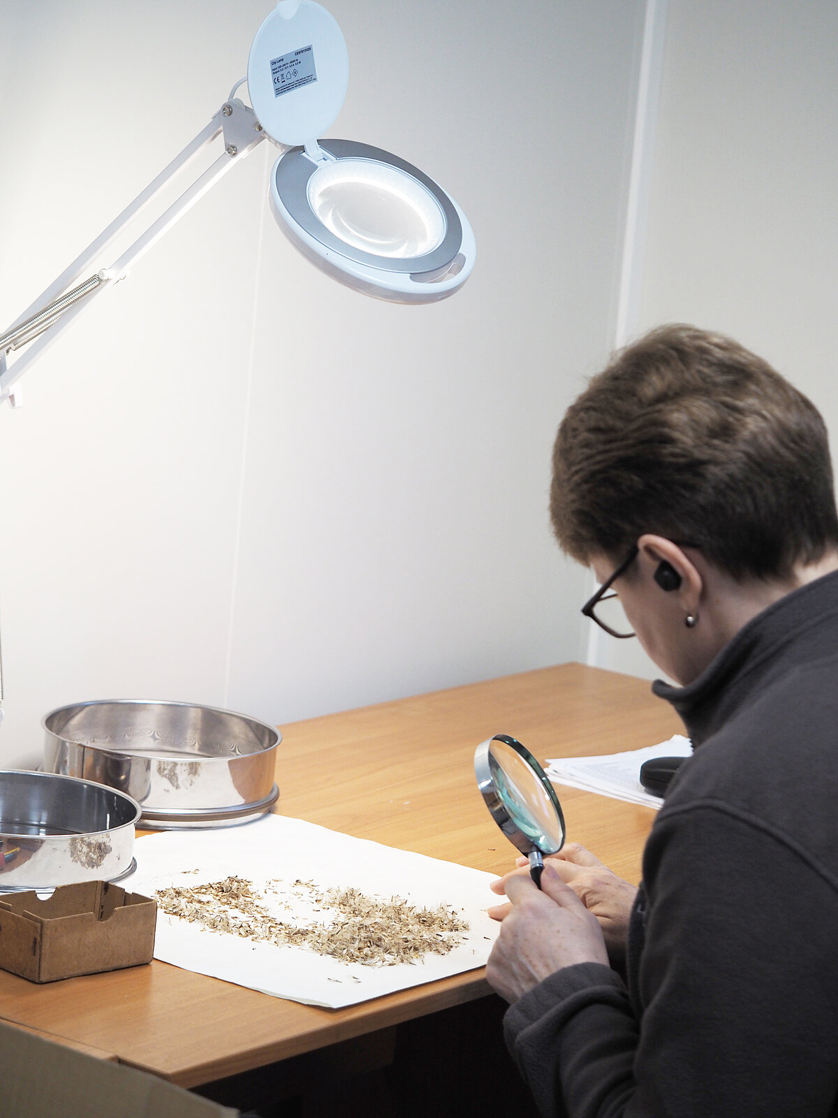 Sēklu tīrīšanā svarīgs labs apgaismojums, palīglīdzekļi, profesionāla literatūra.