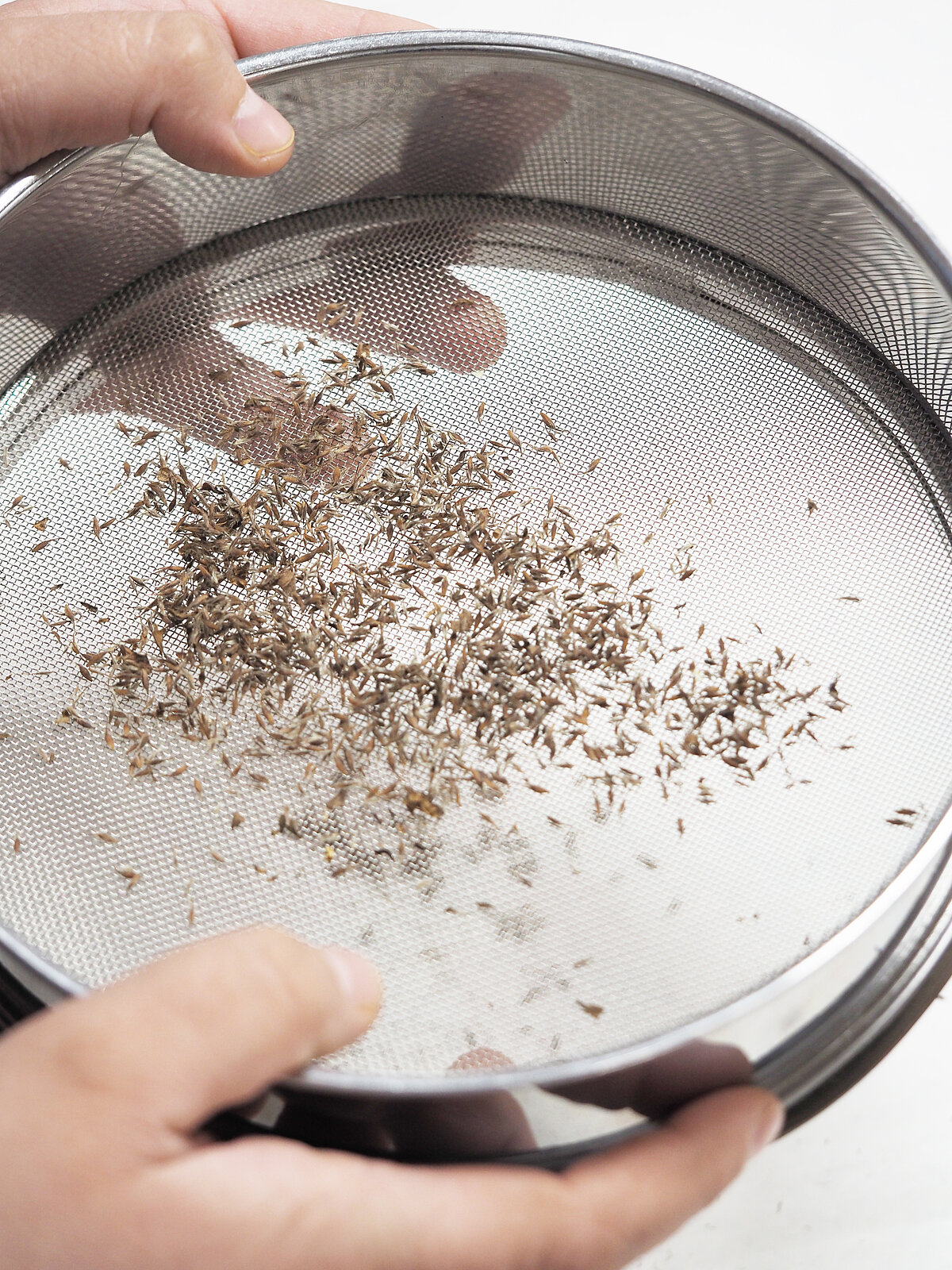 Sēklām jābūt max tīrām, šim mērķim izmanto sietus ar dažādu acu izmēru.