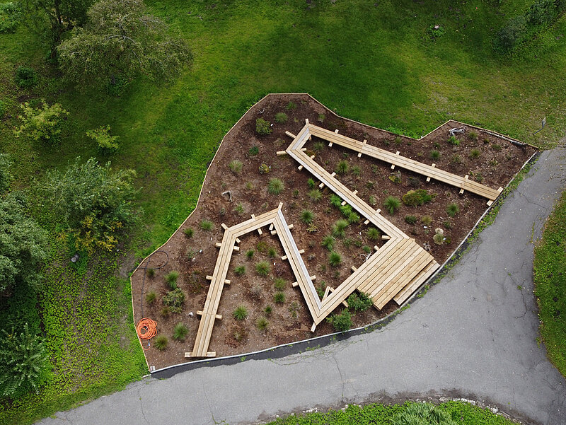 Dārzā atklāta purva ekspozīcija 