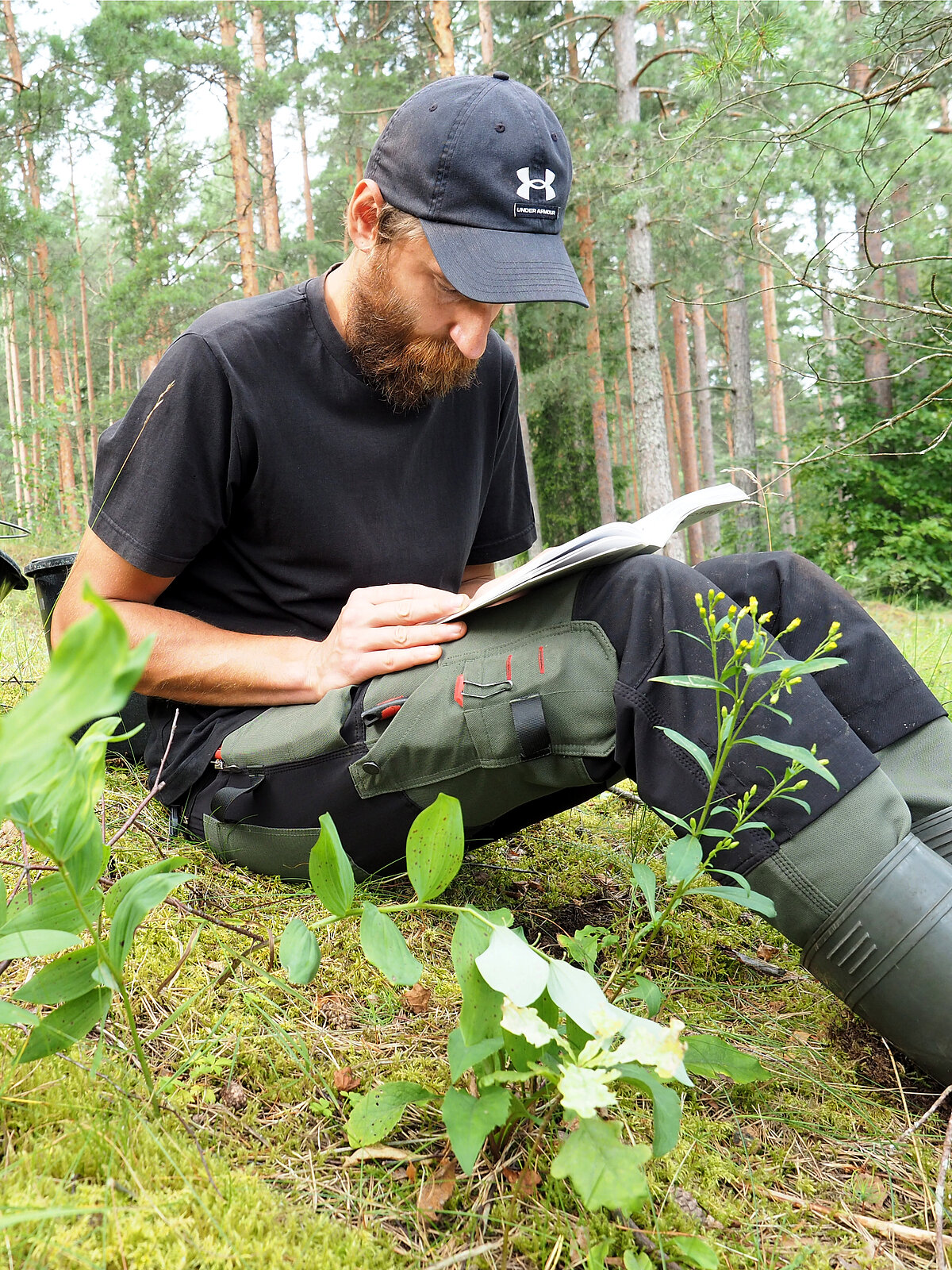 Botāniķis Mārtiņš Dakša pirms sēklu ievākšanas pārbauda taksona pareizību.