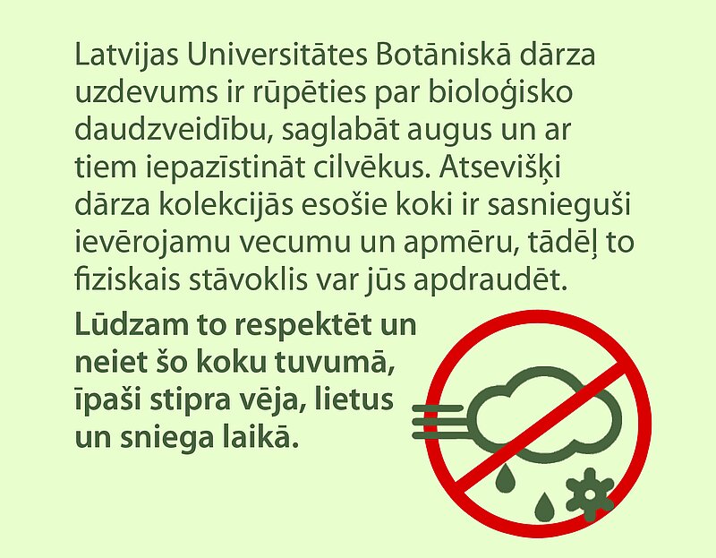 Aicinām ievērot drošību stipra vēja dēļ