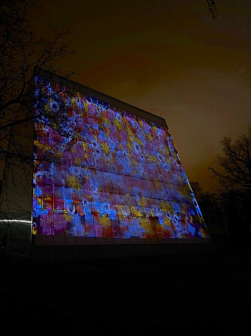 Light Festival “Winter Mischief 3: Flower Tales” Returns!